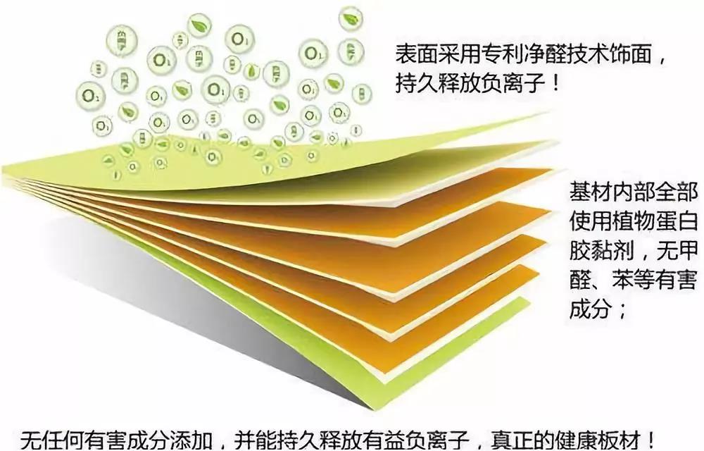 濃情端午,粽葉飄香 環(huán)保生活，健康你我